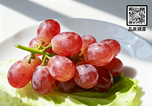 食品追溯码 (1).png