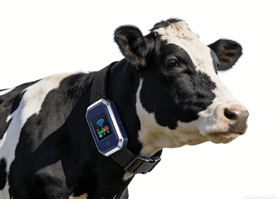 牛跟踪器 (1).png